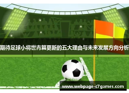 期待足球小将世青篇更新的五大理由与未来发展方向分析