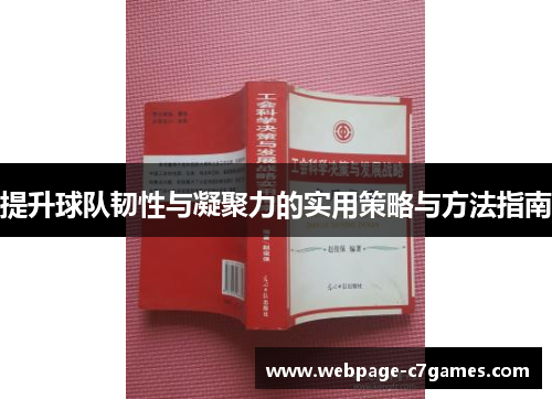 /uploads/images/20251003/ti-sheng-qiu-dui-ren-xing-yu-ning-ju-li-de-shi-yong-ce-lyue-yu-fang-fa-zhi-nan.webp